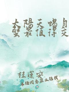 太阳天蝎月亮巨蟹最值得交往