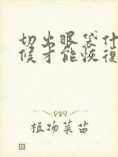 切出眼袋什么时候才能恢复正常