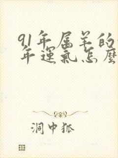 91年属羊的今年运气怎么样呢