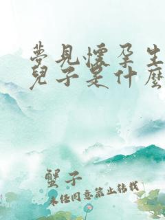 梦见怀孕生了个儿子是什么预兆