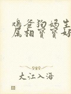 鸡爸狗妈生什么属相宝宝好