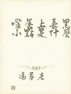 嘴唇上长黑色的小点是什么原因