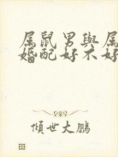 属鼠男与属蛇女婚配好不好