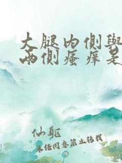 大腿内侧与阴囊两侧瘙痒是什么原因