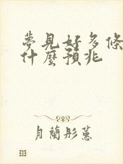 梦见好多条蛇是什么预兆