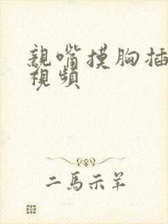 亲嘴摸胸插下面视频