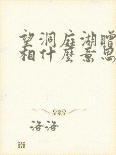 望洞庭湖赠张丞相什么意思