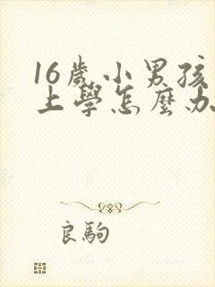 16岁小男孩不上学怎么办