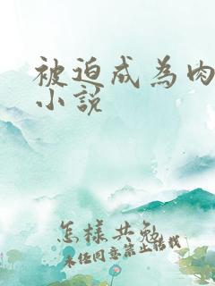 被迫成为肉便器小说