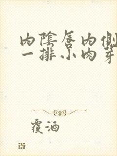 内阴唇内侧长了一排小肉芽