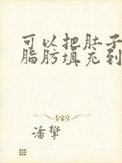 可以把肚子上的脂肪填充到胸部吗