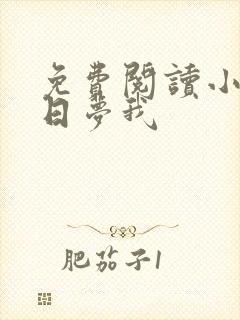 免费阅读小说白日梦我