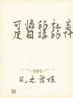 可怜的社畜 东度日讲的什么