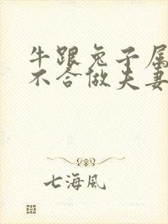 牛跟兔子属相合不合做夫妻