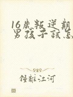 16岁叛逆期的男孩子该怎样去沟通教育