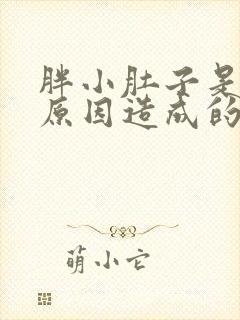 胖小肚子是什么原因造成的