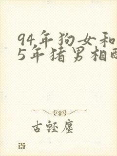 94年狗女和95年猪男相配吗
