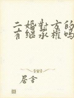 二婚对方的孩子有继承权吗