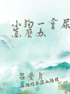 小狗一会尿一点怎么办