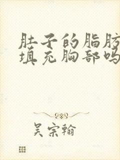 肚子的脂肪可以填充胸部吗?