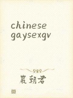 chinesegaysexgv