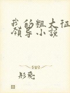 我的粗大征服女领导小说