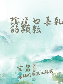 阴道口长乳白色的颗粒