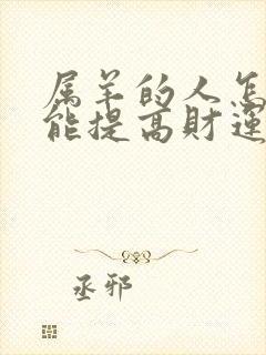 属羊的人怎样才能提高财运