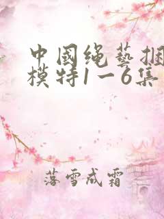 中国绳艺捆绑女模特1一6集