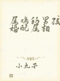 属鸡的男孩最佳婚配属相