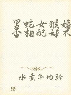 男蛇女猴婚姻是否相配好不好