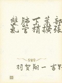 双肺下叶部分支气管稍扩张