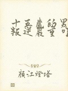 十五岁的男孩 叛逆严重 咋办