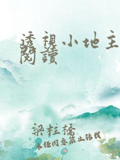 透视小地主全本阅读