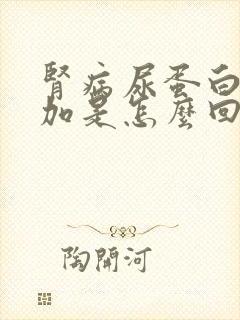 肾病尿蛋白3个加是怎么回事