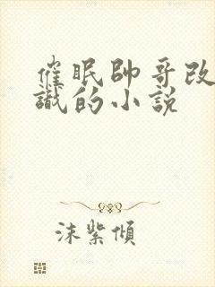 催眠帅哥改变常识的小说