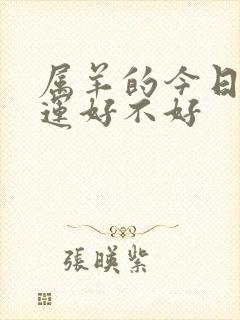 属羊的今日偏财运好不好