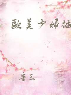 欧美少妇插双穴