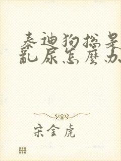 泰迪狗总是乱拉乱尿怎么办