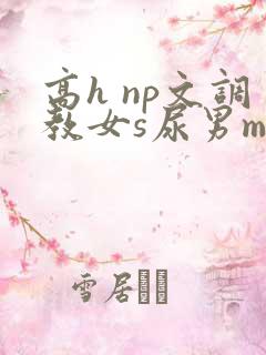 高h np文调教女s尿男m