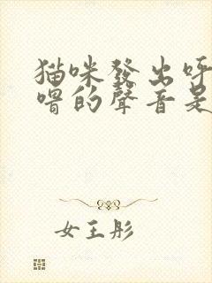 猫咪发出呼噜呼噜的声音是什么意思