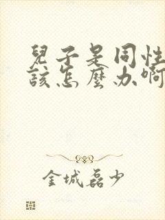 儿子是同性恋我该怎么办啊