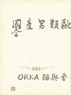 国产另类欧美综合