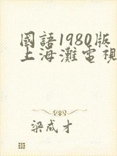 国语1980版上海滩电视剧免费观看