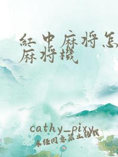 红中麻将怎么调麻将机