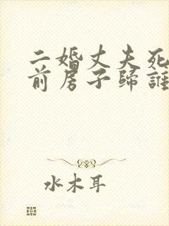 二婚丈夫死了婚前房子归谁