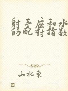 射手座和水瓶座的配对指数