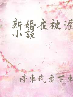 新婚夜被灌醉强小说