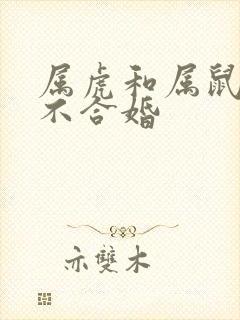 属虎和属鼠的合不合婚