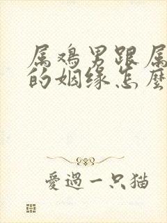 属鸡男跟属兔女的姻缘怎么样